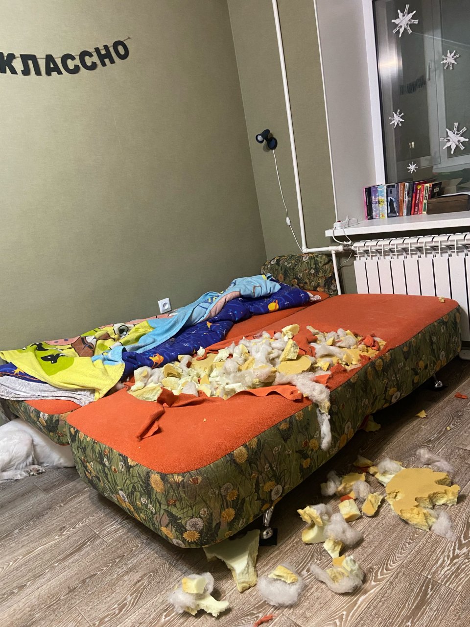 У людей спросили какую дичь вытворяли их питомцы