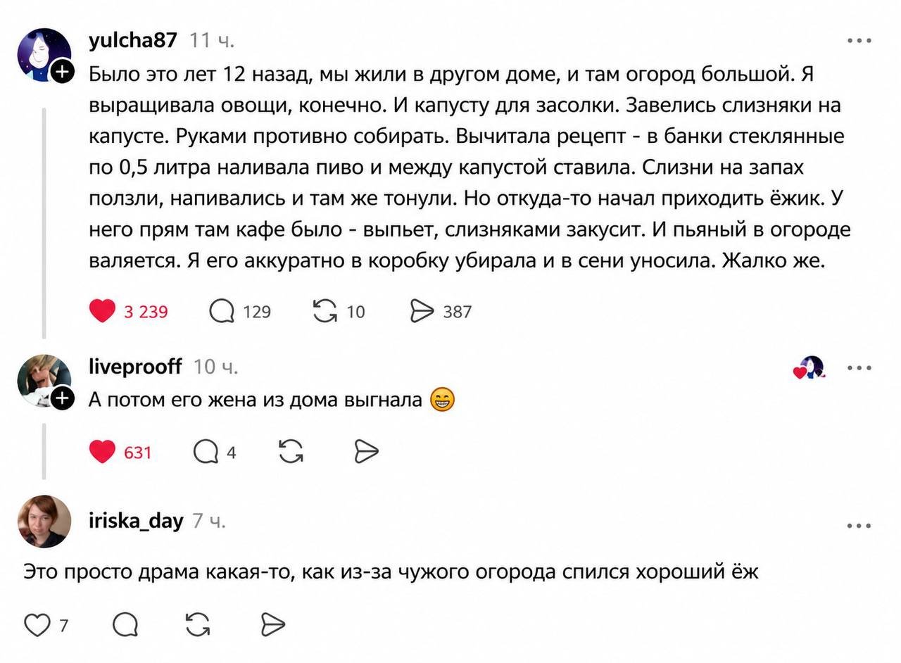 Социальная драма на грядках