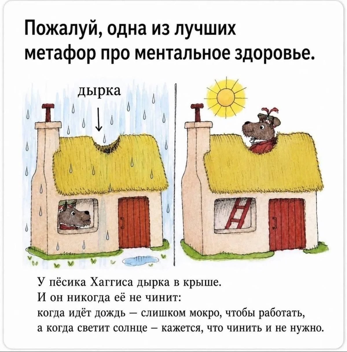 Веселые картинки 12.08