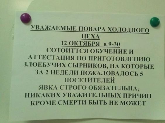 Веселые картинки 12.08