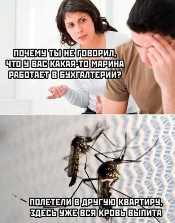 Веселые картинки 12.08