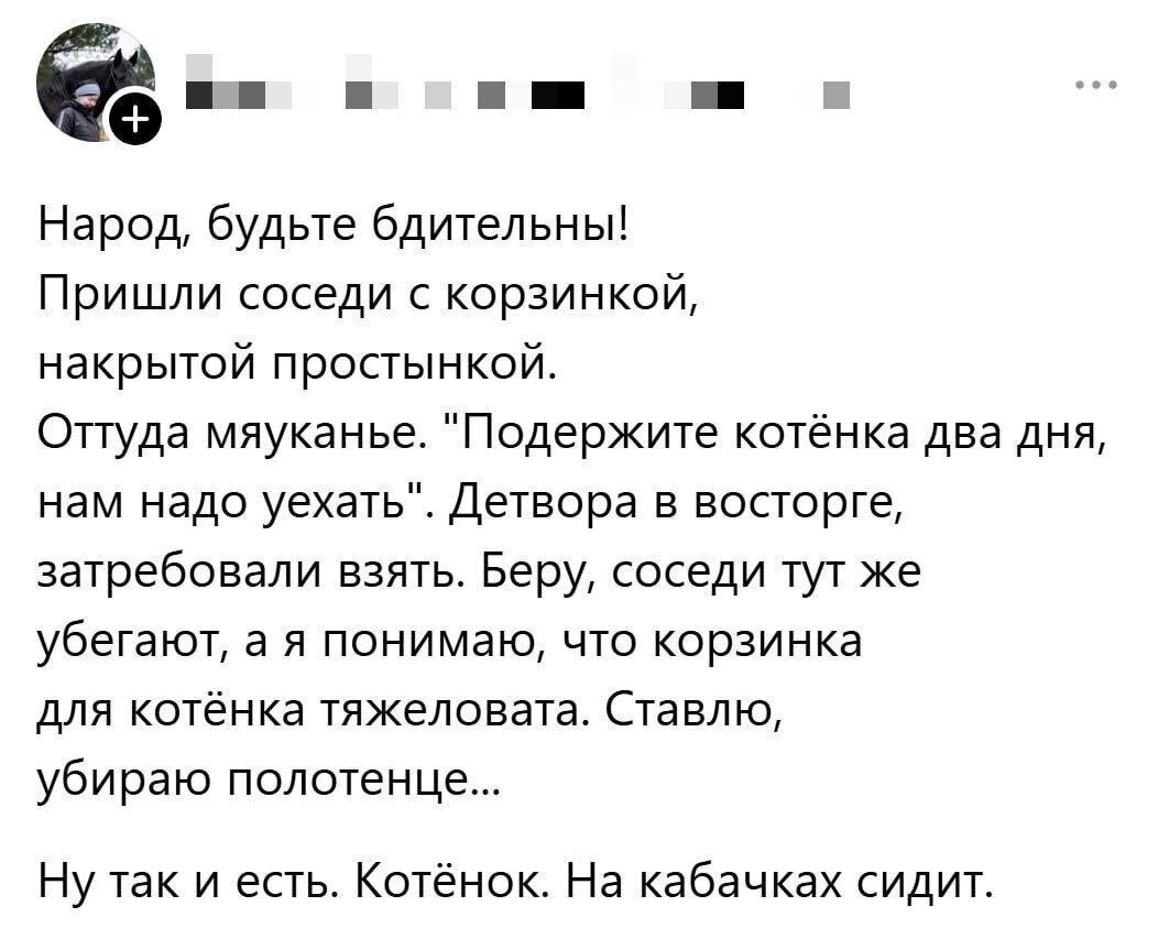 Будьте бдительны!