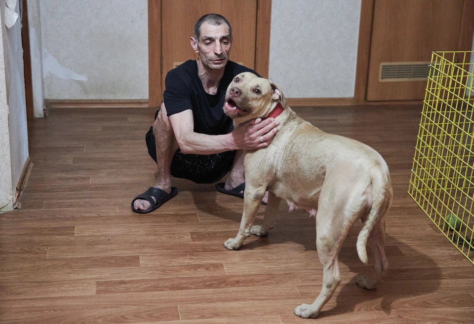 Питбули, растерзавшие инженера на стоянке у завода, растерзали собственного хозяина