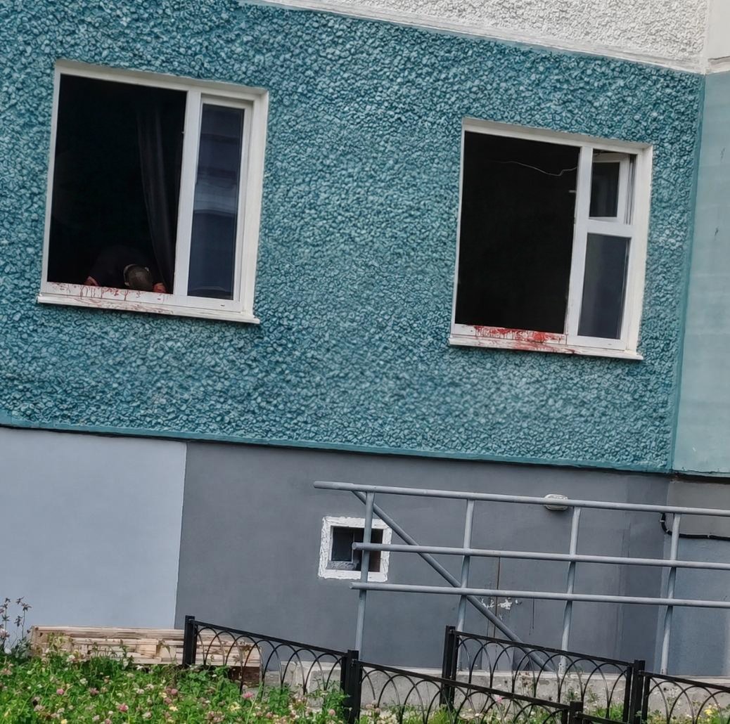 Питбули, растерзавшие инженера на стоянке у завода, растерзали собственного хозяина