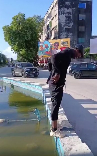 Блэк Джизас