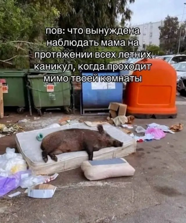 Веселые картинки