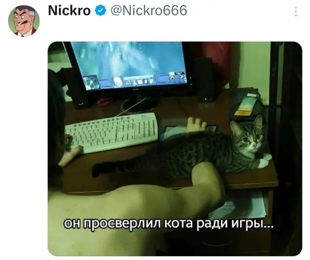 Веселые картинки