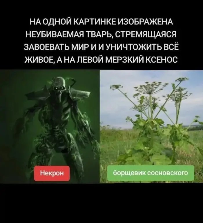 Веселые картинки
