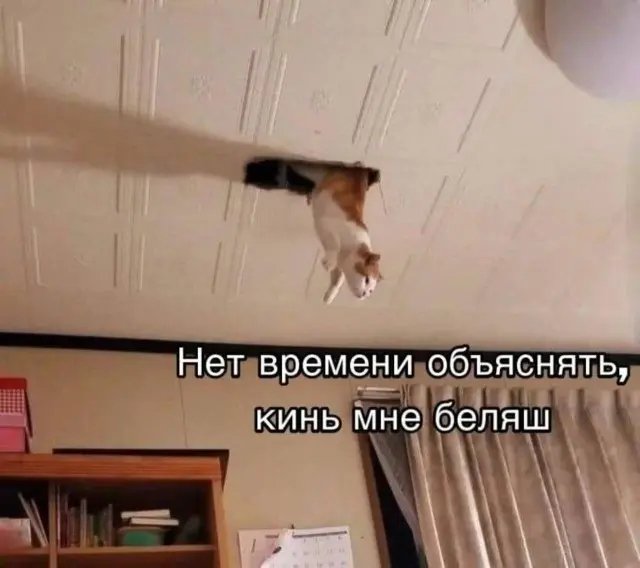 Веселые картинки