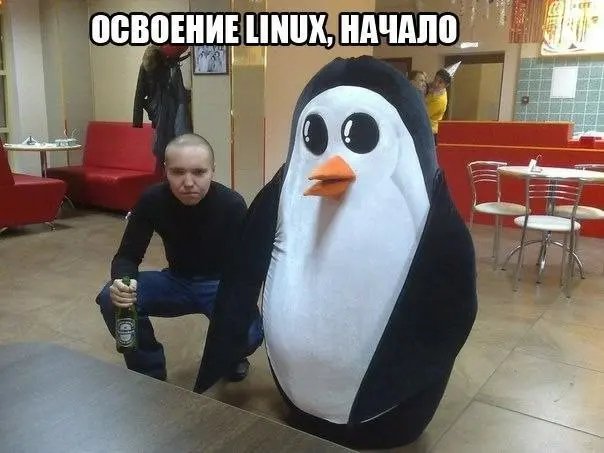 Веселые картинки