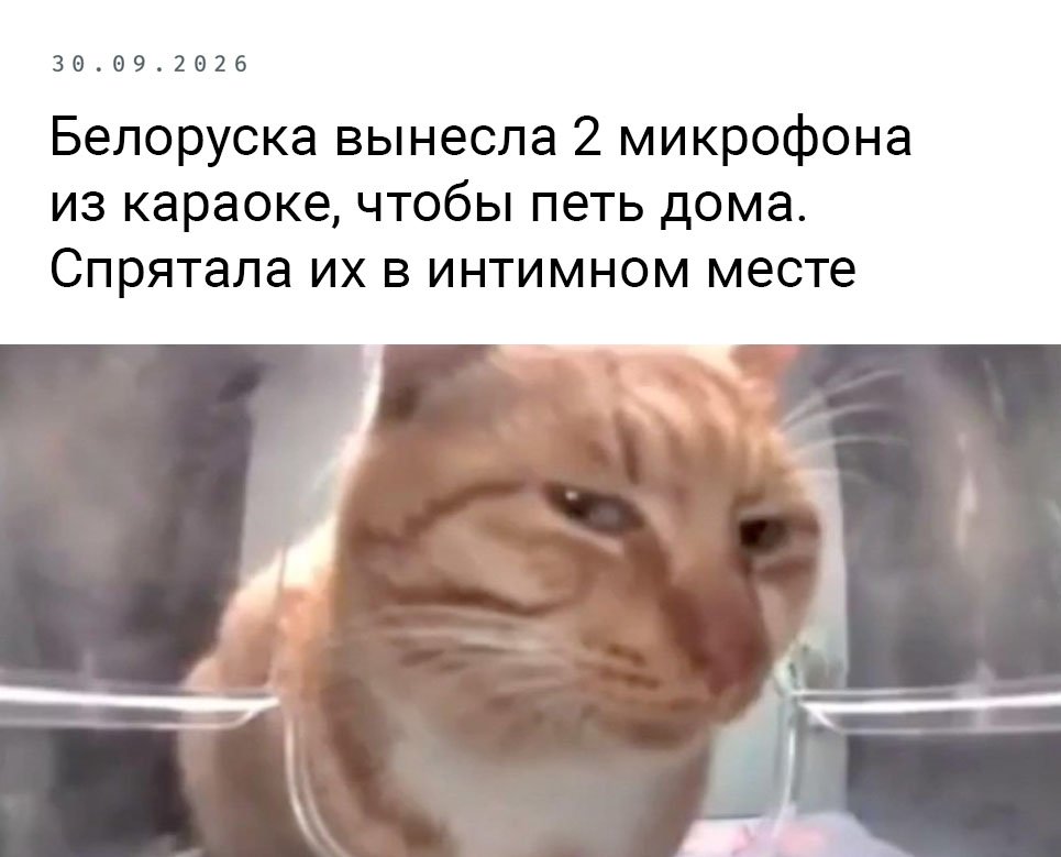 Группа Пающие трусы?