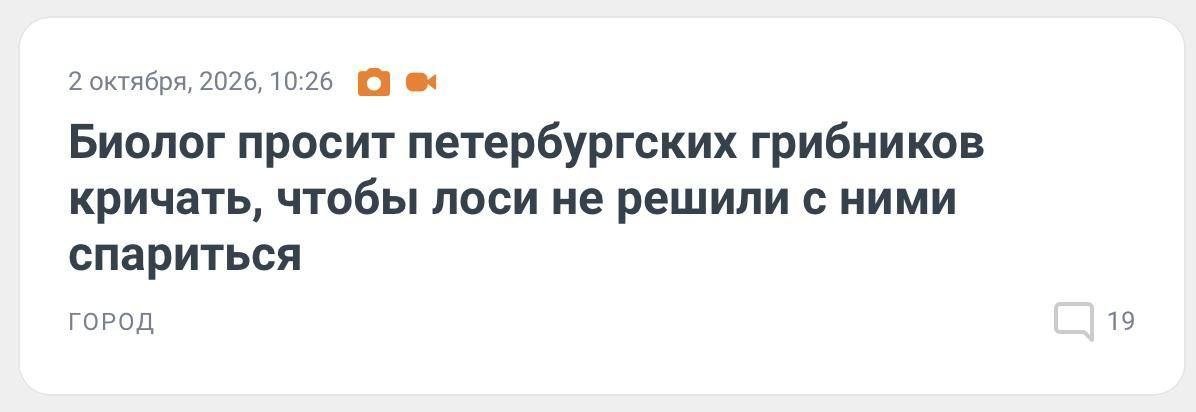 Лось может принять грибника за невесту.