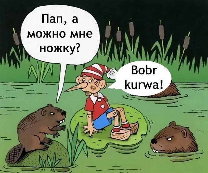 Была огромной ошибкой делать предупреждение о бобрах из дерева