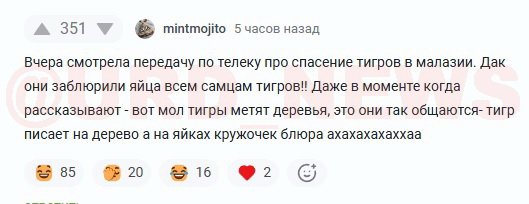 Вы зачем тиграм яйца отрезали?
