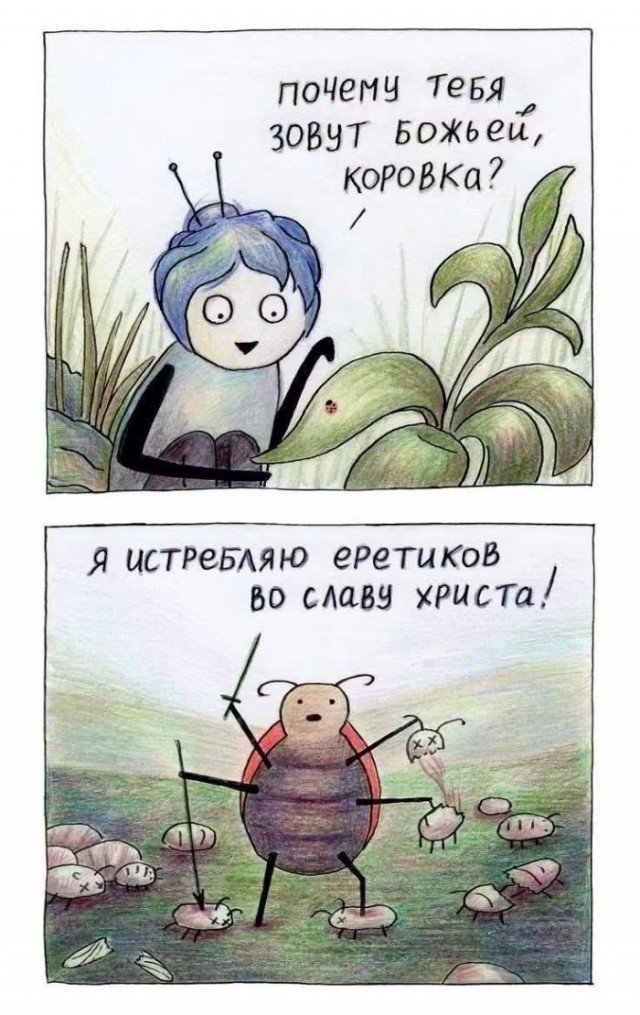 Веселые картинки 08.10