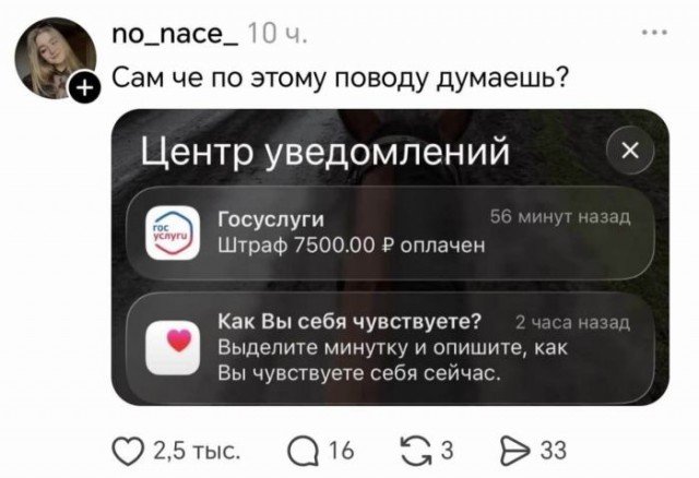 Веселые картинки 08.10