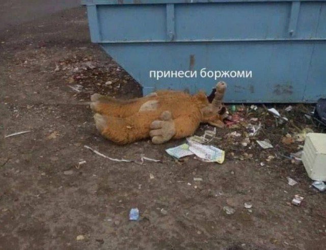 Веселые картинки 08.10