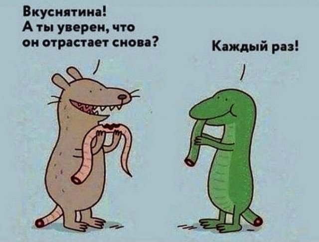 Веселые картинки 08.10