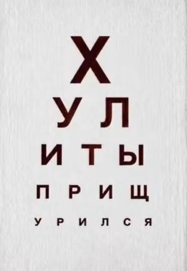 Веселые картинки 08.10