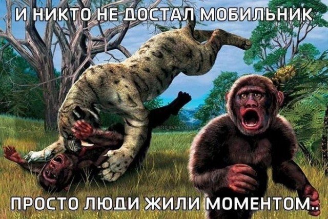 Веселые картинки 08.10