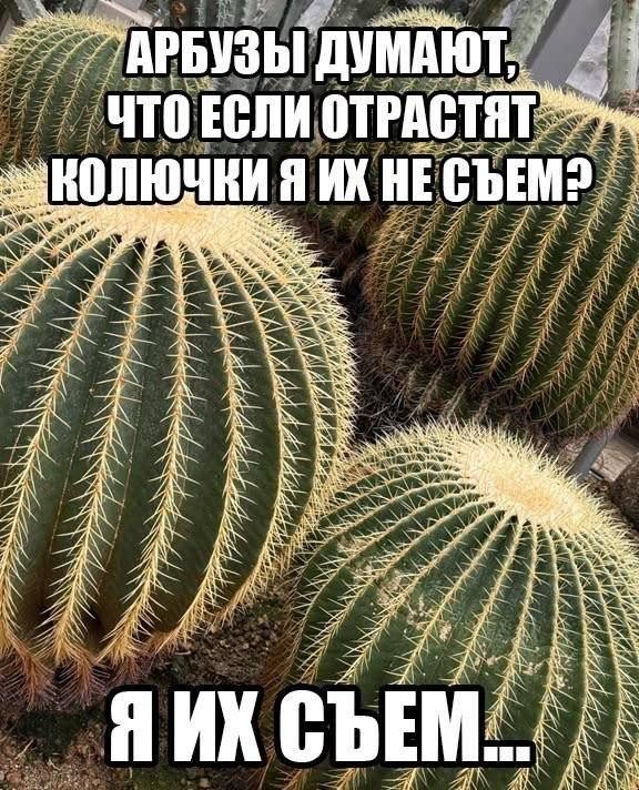 Веселые картинки 08.10