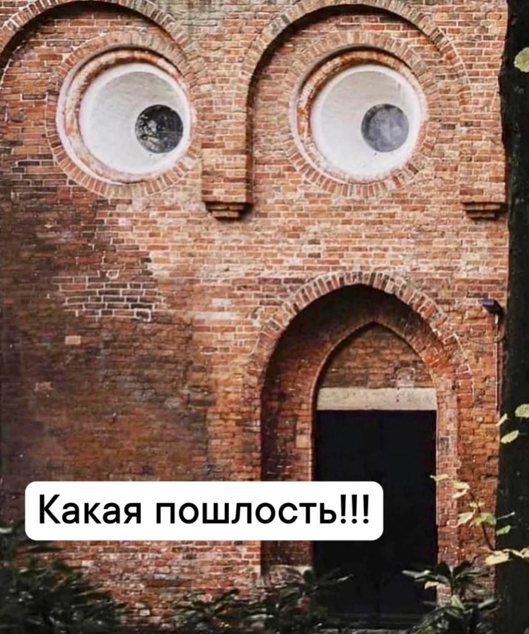 Да что там у них происходит?