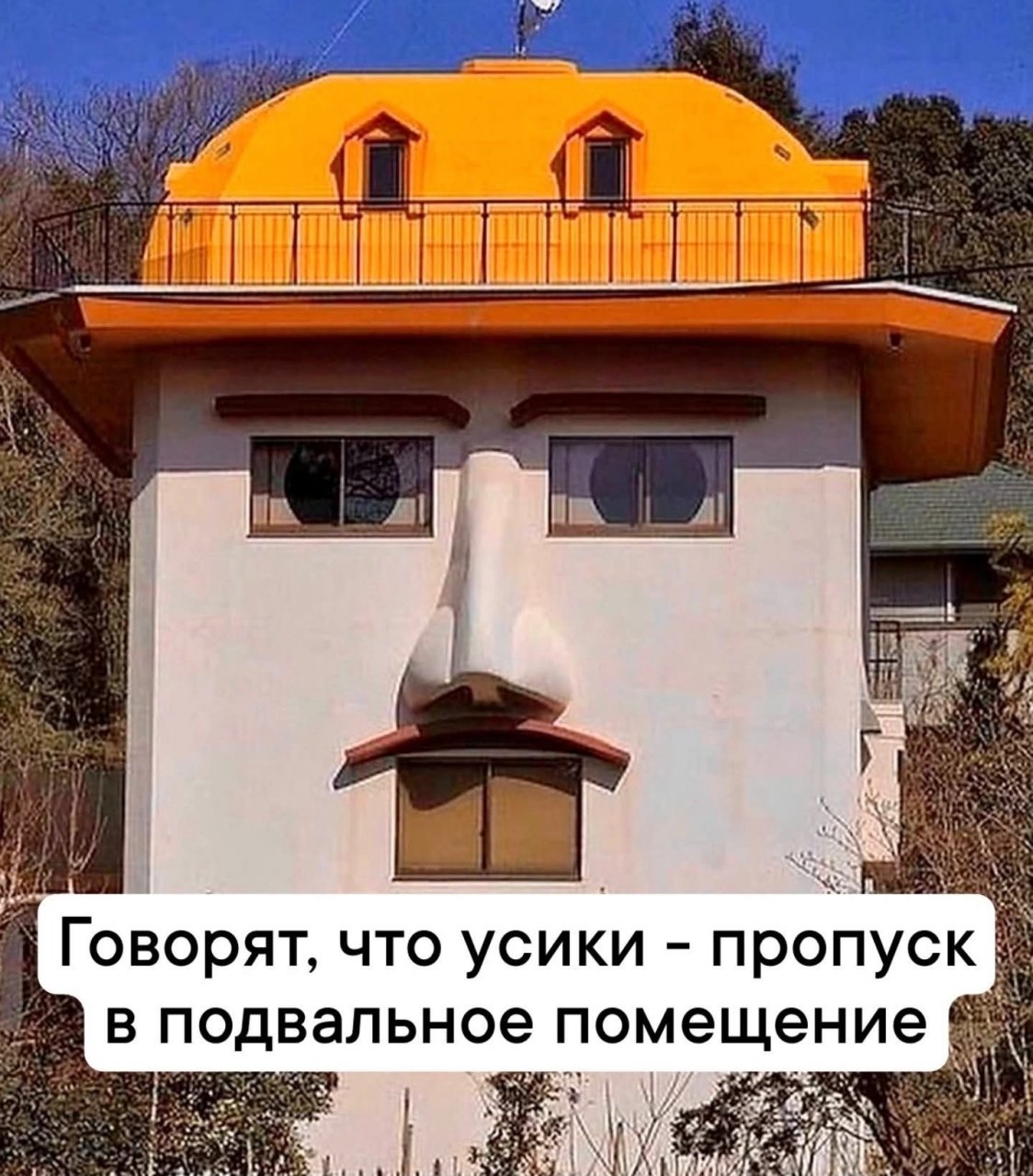 Да что там у них происходит?