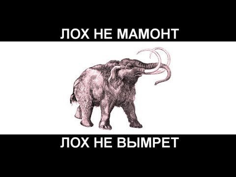 19-летнюю москвичку заставили обыскать квартиру по Zoom и отдать семейные деньги мошенникам.