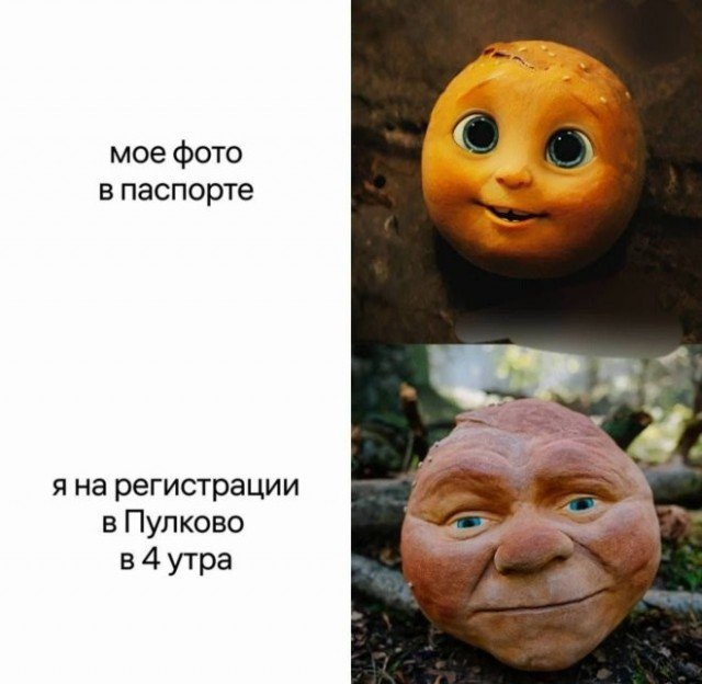 Веселые картинки