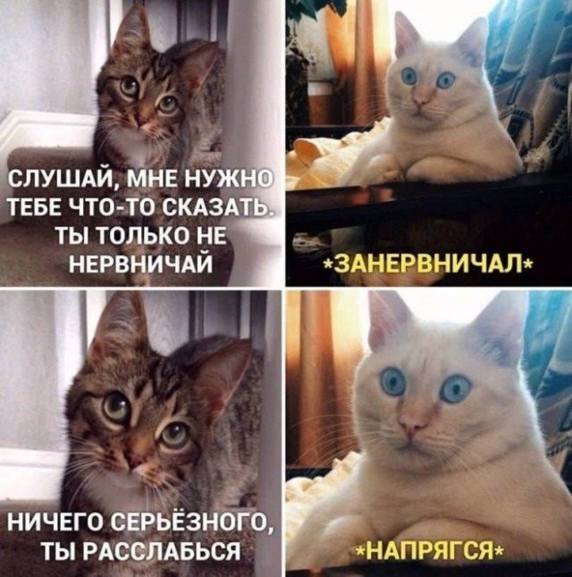 Веселые картинки