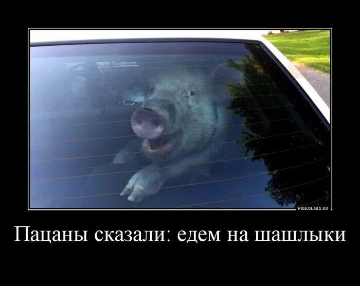 И добавить нечего