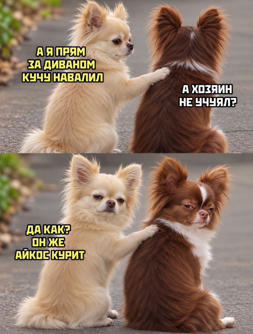 Веселые картинки 23.10