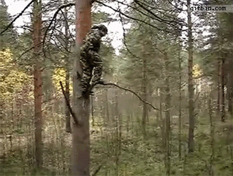 7c9a25dab120bb0b3fe3ca4914503505.gif