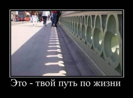Комментарии