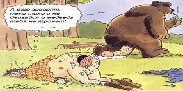 Комментарии