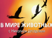 Комментарии