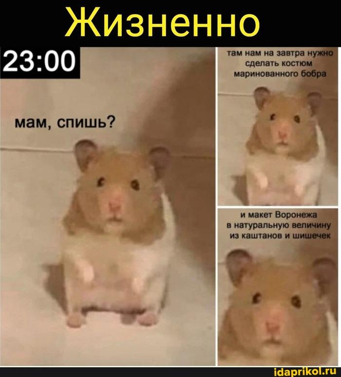 Комментарии