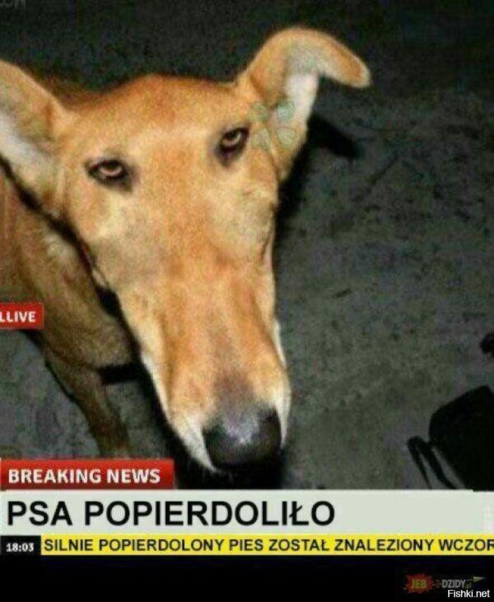 Комментарии