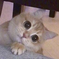 Комментарии