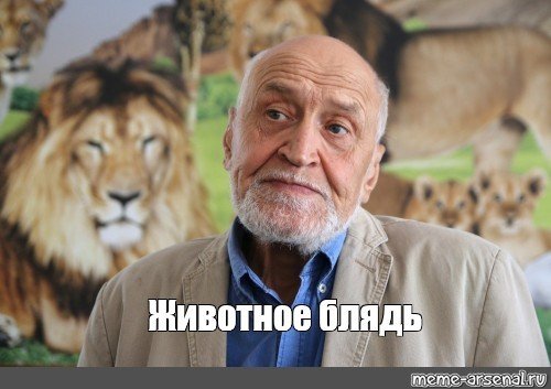 Комментарии