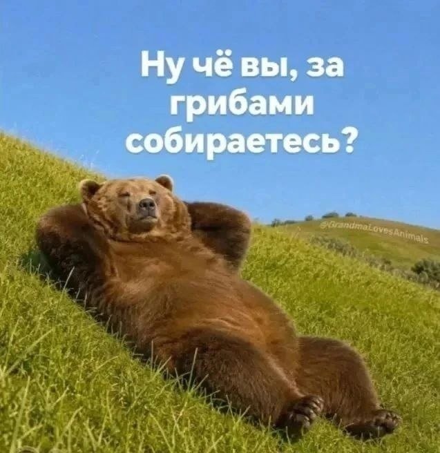 Комментарии