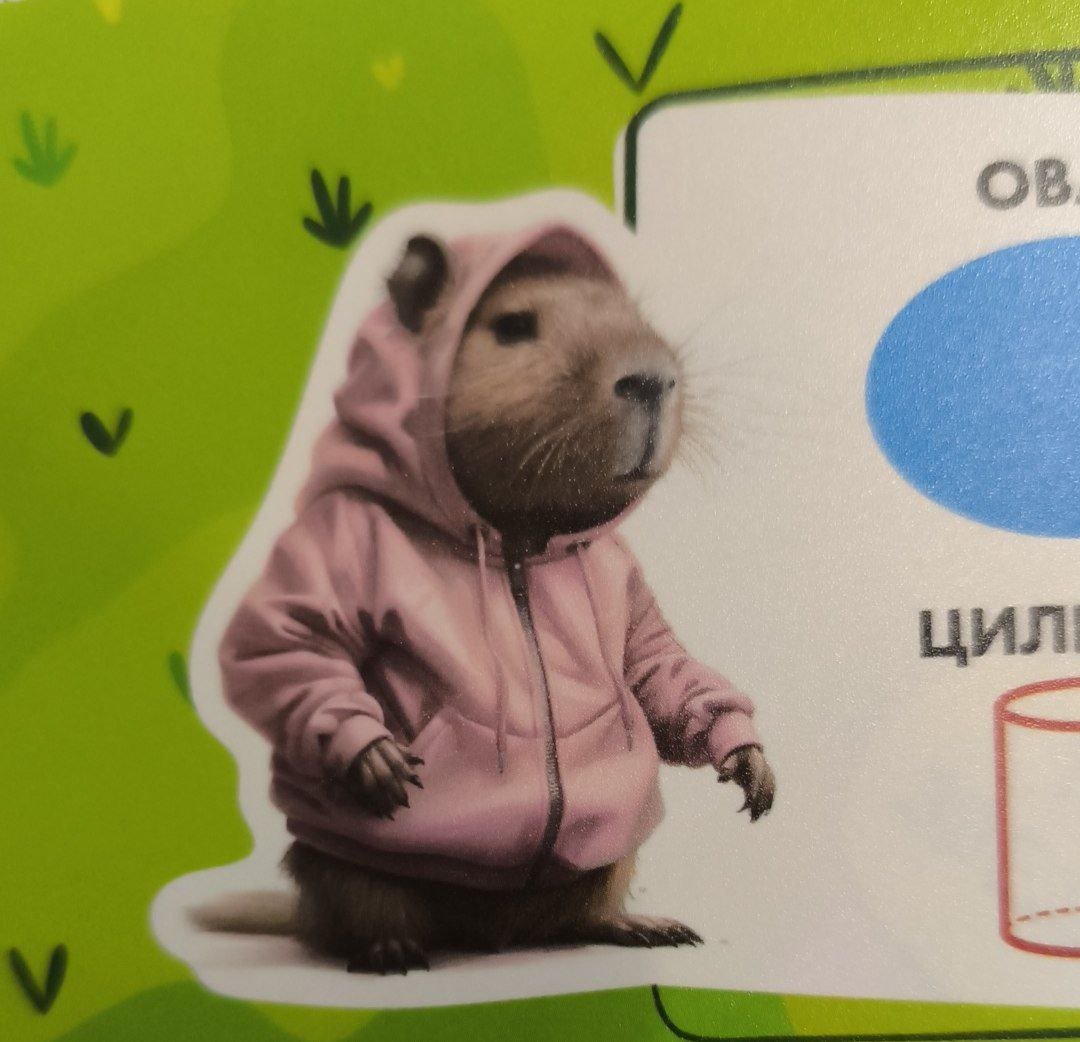 Комментарии