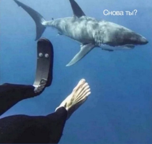 Комментарии