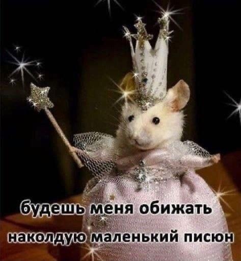Комментарии