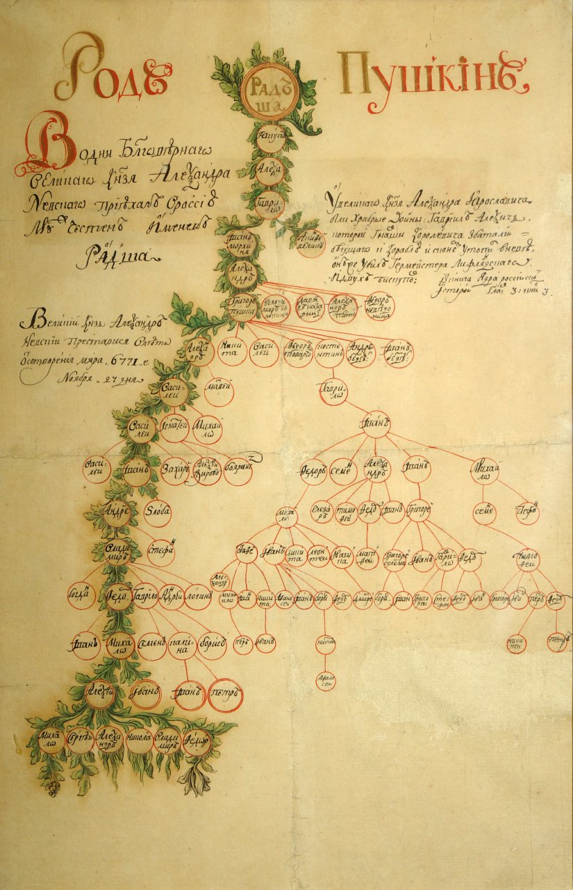 Комментарии