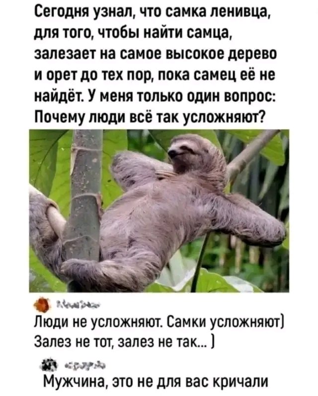 Комментарии