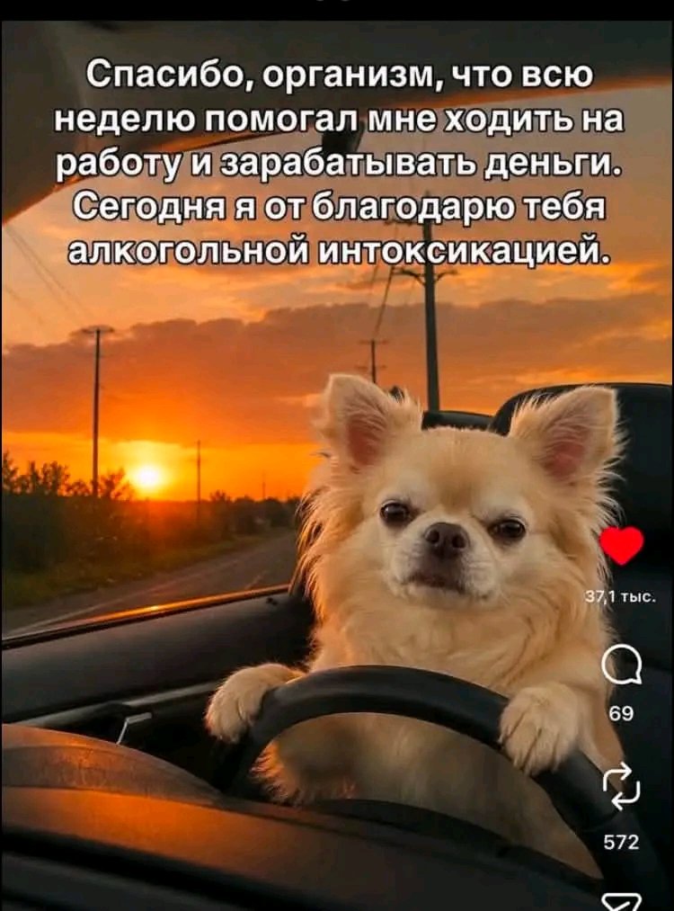 Комментарии