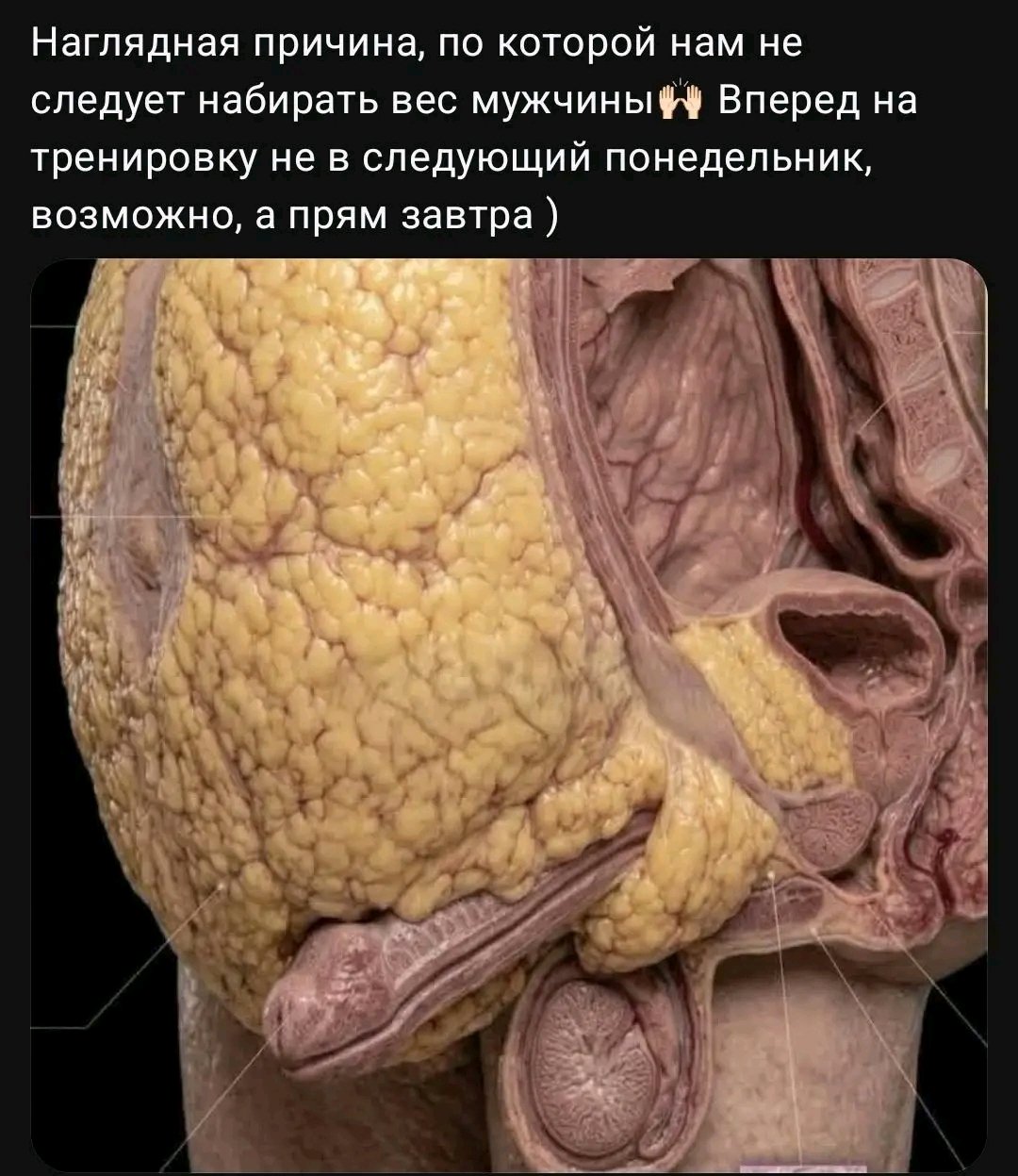 Комментарии