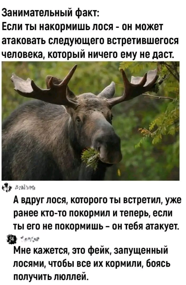 Комментарии
