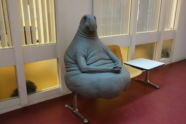 Комментарии